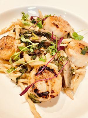 Seared Sea Scallops