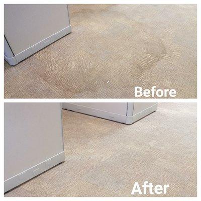 Commercial Carpet Cleaning