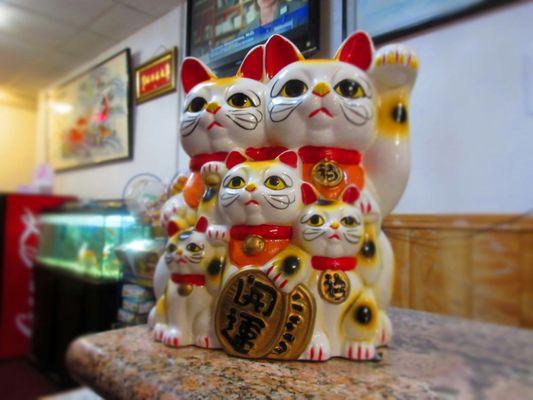 Lucky cats greeting the guests!