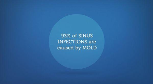 If you have a chronic sinus infection and it is almost certain that mold is a factor.