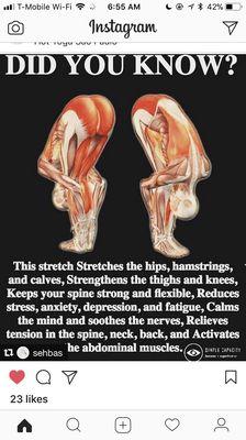 Let's stretch our body