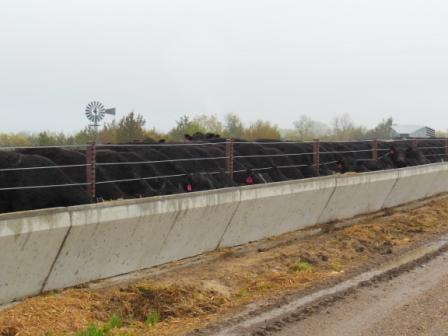 Concrete Feed Bunks