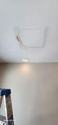 Ceiling Repair ( water damage  )