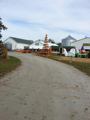 Miller's Pumpkin Barn