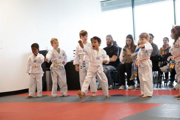 Vertical Taekwondo Lee's Summit
-Looking for Karate, Taekwondo or Martial Arts Fun? Check us Out!