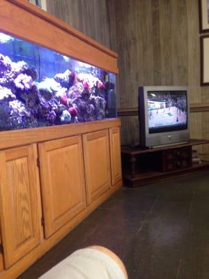 Waiting area. Tropical fish tank and tv.