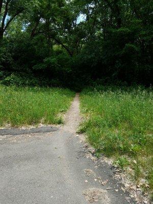 Trail into the Minnesota Valley Wildlife Refuge.