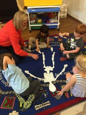 Studying skeletons using a puzzle in science.