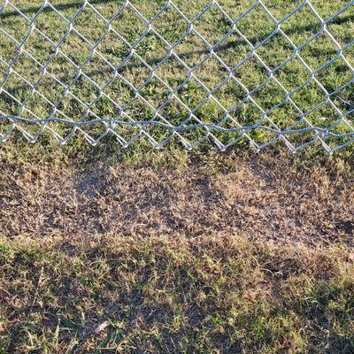 Be careful, fence doesn't go all the way down so a small pet (like a Chihuahua) can definitely get out.