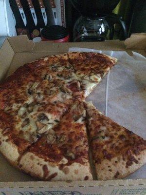 Mushroom and Cheese Pizza after a 10 minute drive and waiting for everyone to arrive to dig in.