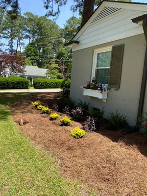 Our services include lawn mowing, mulching, bush maintenance, small tree care, siding, upholstery clean-up, and small tree service.