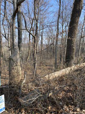 Limestone Gorge Trail @Parklands