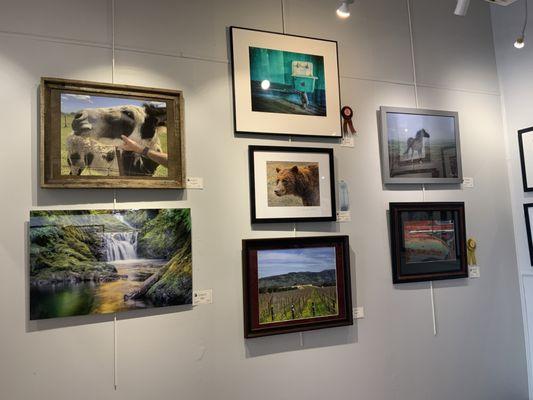 My Photography Entries are on display for the entire month of October