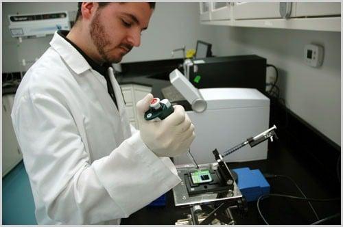 A lab technician works diligently to find out which contaminants are present in the environment from which samples were taken.