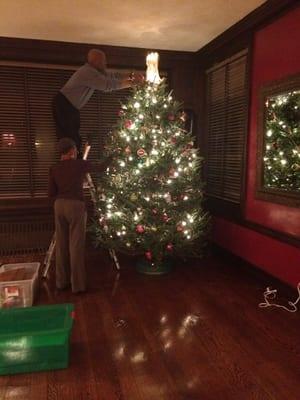 Here is a pic of the tree from Anne's Treeland! Thanks it's really beautiful!