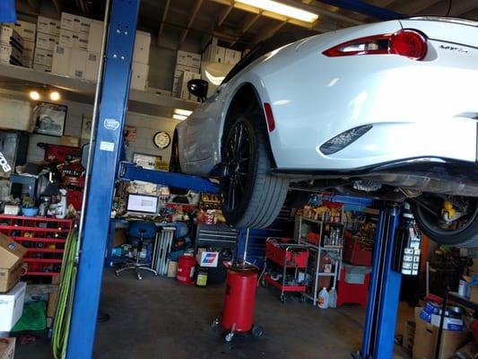 Early morning oil change. Get here early, they are busy!