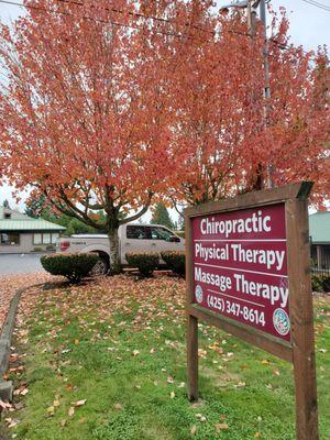 Everett Spine & Rehab