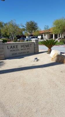 Lake Hemet Water District 290,000' facility Pest free since 2010 using Acorn