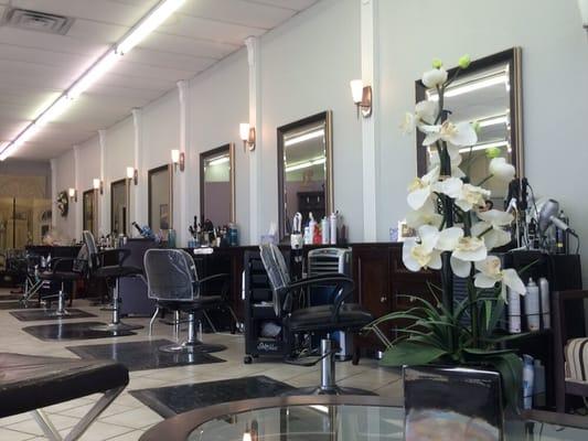 Western Place Salon