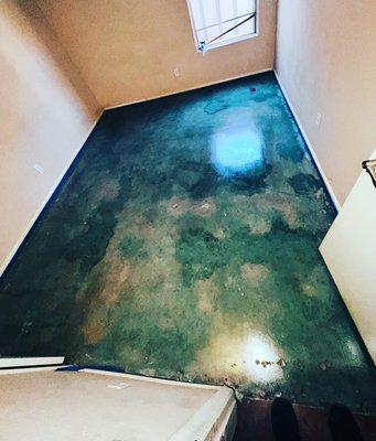 Acid stained concrete