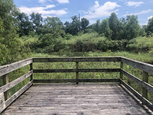 Bayou Sauvage National Wildlife Refuge