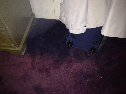 Stains on the carpet and the room has a smell like pee or something died in it.