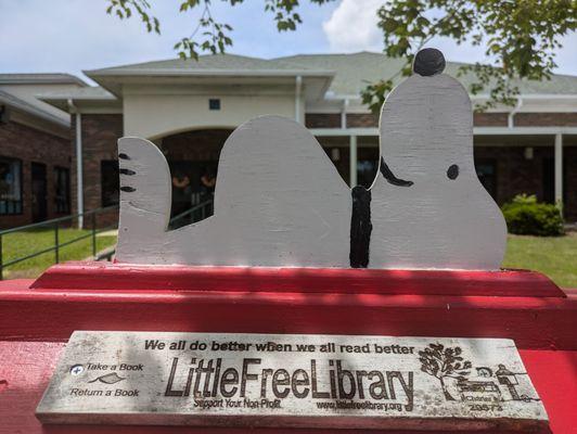 Little Free Library 29573, Salisbury NC