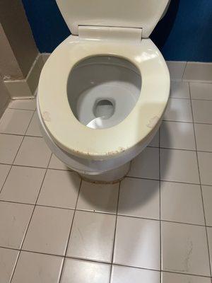 I have no words for the toilet seat