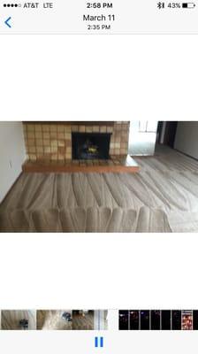 Seattle Carpet Cleaning