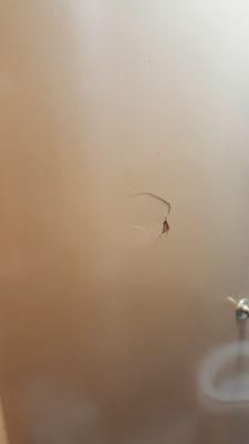 Hole in bathroom door