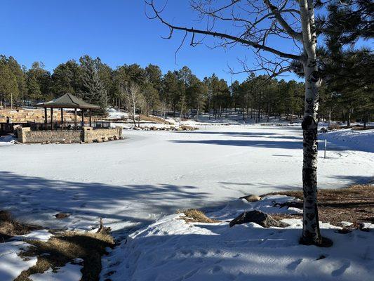 On frozen pond