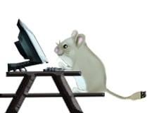 The Working Mouse