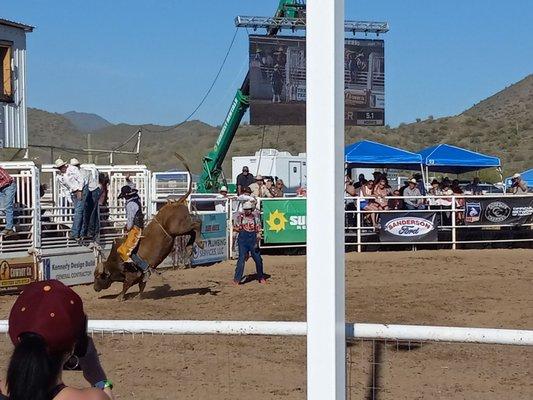 Bull Riding.