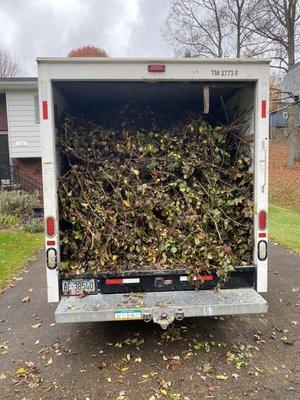 Fallen trees cluttering your yard? Let us clean it up for you!