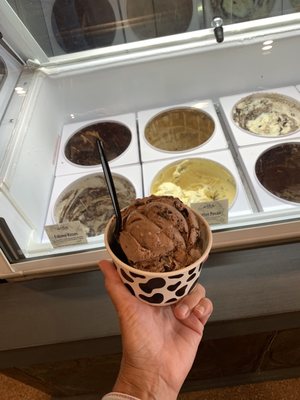 Two scoops! Decent size scoops