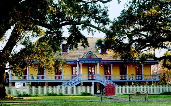 Laura plantation