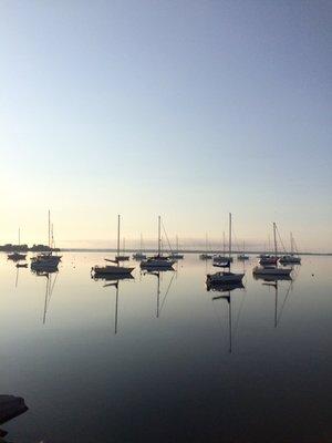 Gaines Mooring Field at dawn