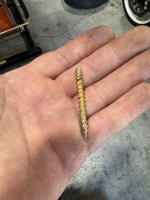 Screw from tire.