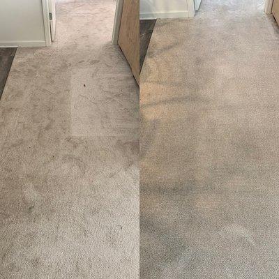 Carpet cleaning