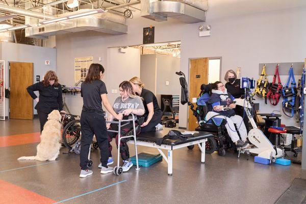 Therapists assist with set up using electrical stimulation and robotic exoskeleton