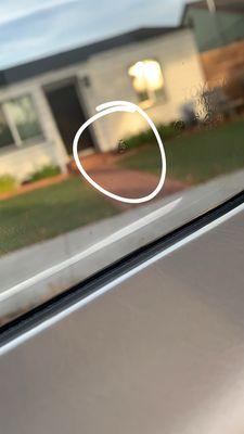 hair stuck between tint and window