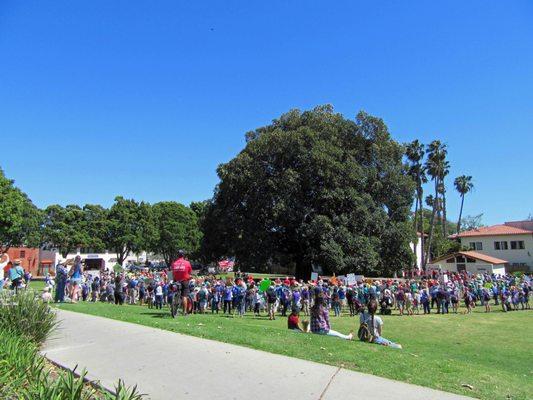 Thousands protest Trump shutting down EPA