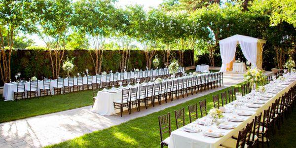 Backyard Reception