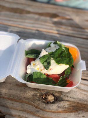 Burrata Caprese Salad