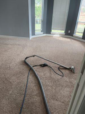 Carpet cleaning