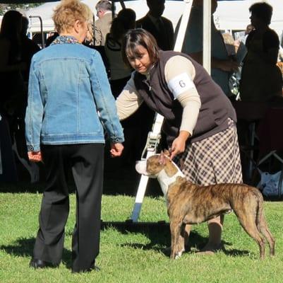 Finger Lakes Kennel Club