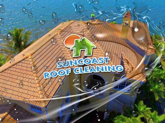 Suncoast Roof Cleaning in Sarasota, Soft washing a tile roof.