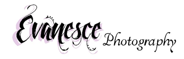 Evanesce Photography - Maternity, Couples, Seniors, Family and more!