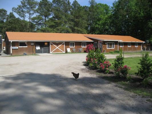 Blue Sky Farms barn and kennel front