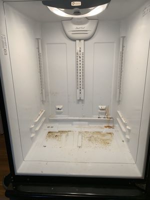 Deep cleaning of the fridge, before